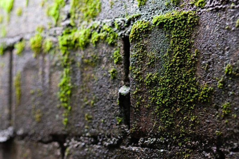 Le nettoyage de fa&ccedil;ade &agrave; Luc&eacute;, un investissement pour votre maison